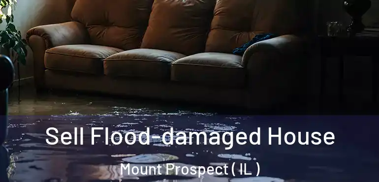  Sell Flood-damaged House Mount Prospect ( IL )
