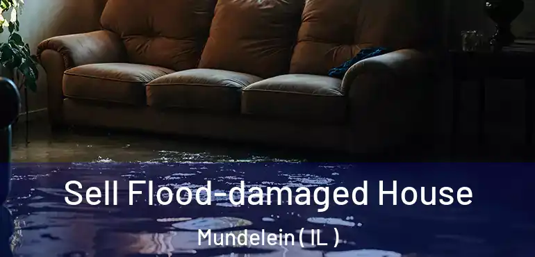  Sell Flood-damaged House Mundelein ( IL )