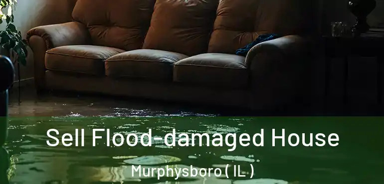  Sell Flood-damaged House Murphysboro ( IL )
