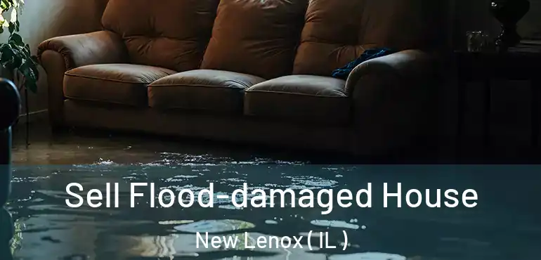  Sell Flood-damaged House New Lenox ( IL )