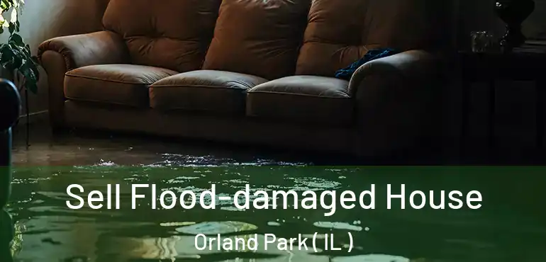 Sell Flood-damaged House Orland Park ( IL )