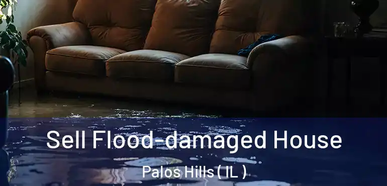  Sell Flood-damaged House Palos Hills ( IL )