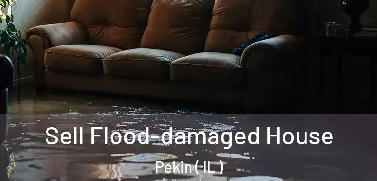  Sell Flood-damaged House Pekin ( IL )