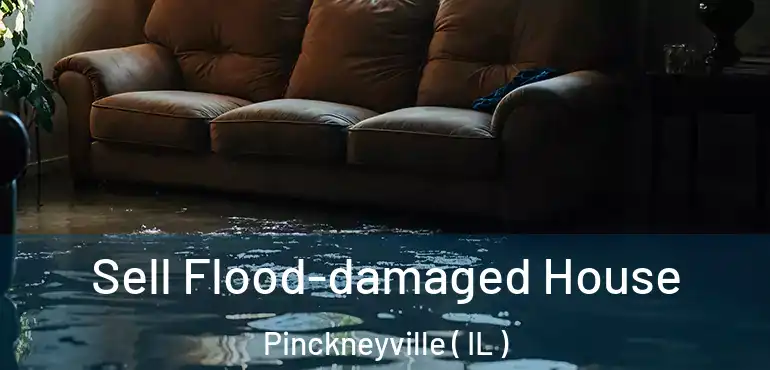  Sell Flood-damaged House Pinckneyville ( IL )