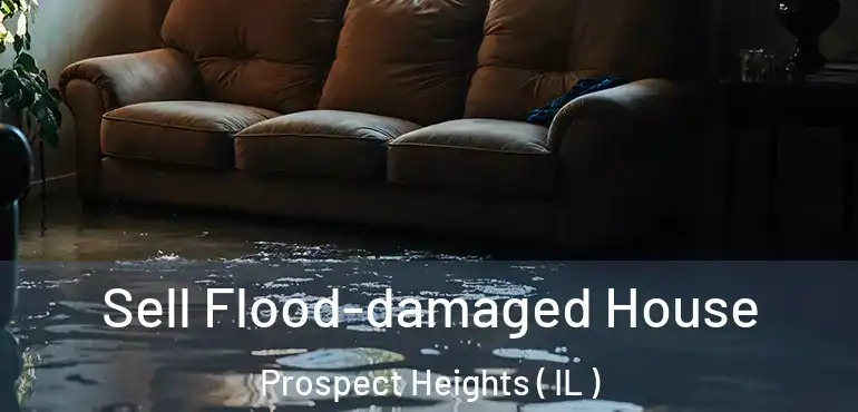  Sell Flood-damaged House Prospect Heights ( IL )