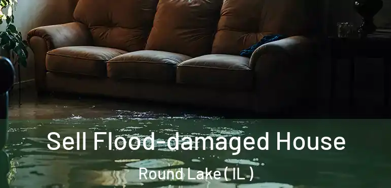  Sell Flood-damaged House Round Lake ( IL )