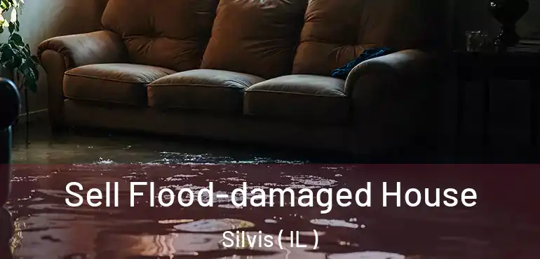  Sell Flood-damaged House Silvis ( IL )
