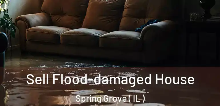  Sell Flood-damaged House Spring Grove ( IL )