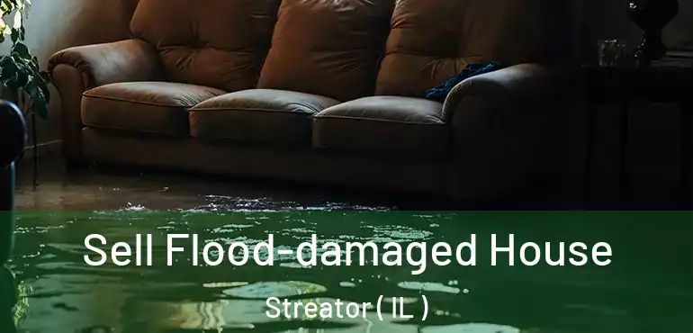  Sell Flood-damaged House Streator ( IL )