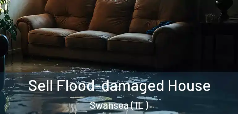  Sell Flood-damaged House Swansea ( IL )