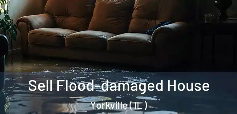  Sell Flood-damaged House Yorkville ( IL )