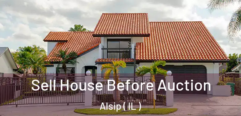  Sell House Before Auction Alsip ( IL )