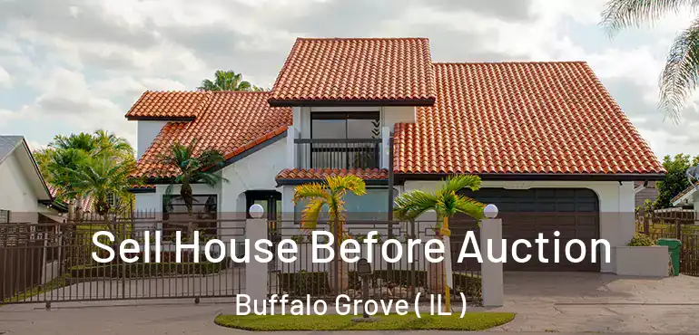  Sell House Before Auction Buffalo Grove ( IL )