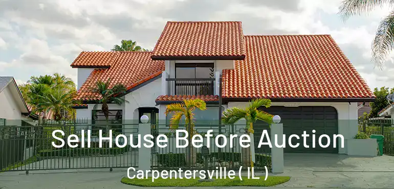  Sell House Before Auction Carpentersville ( IL )