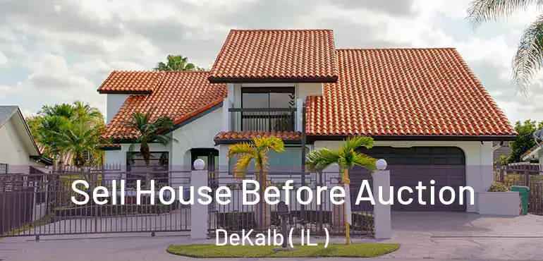  Sell House Before Auction DeKalb ( IL )