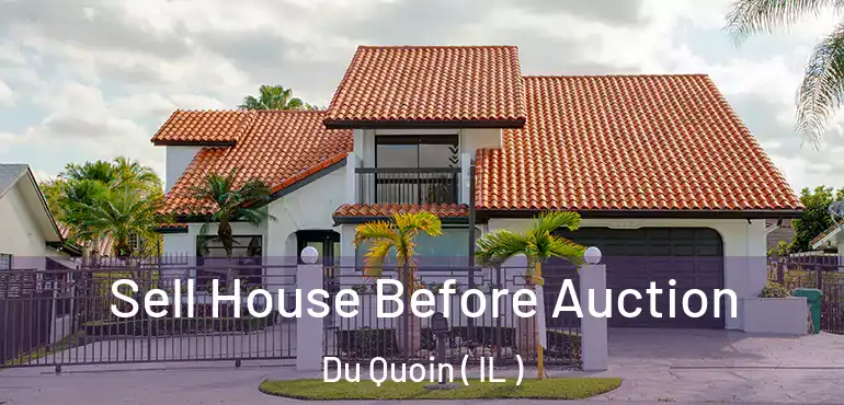  Sell House Before Auction Du Quoin ( IL )