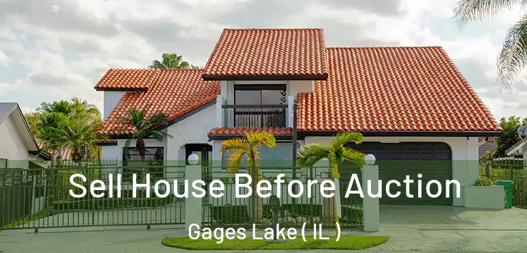  Sell House Before Auction Gages Lake ( IL )