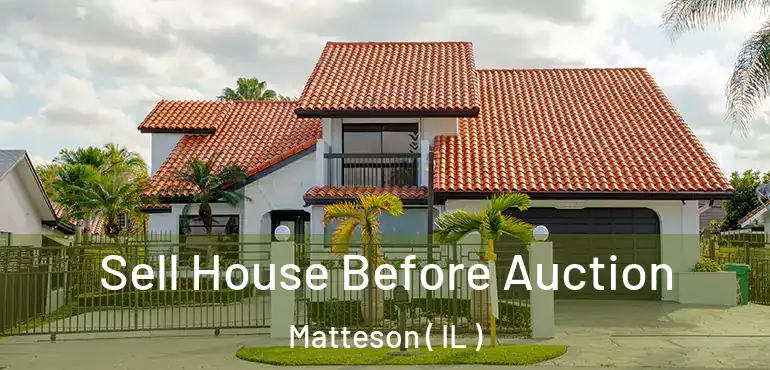  Sell House Before Auction Matteson ( IL )