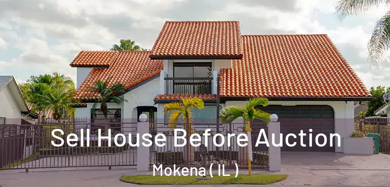  Sell House Before Auction Mokena ( IL )