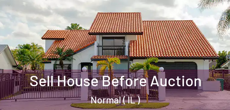  Sell House Before Auction Normal ( IL )