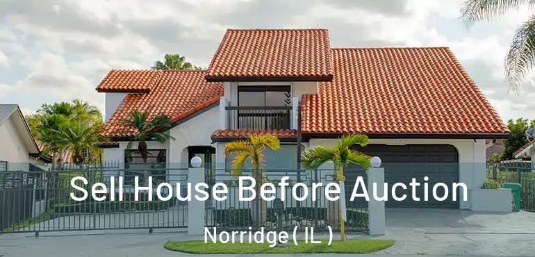  Sell House Before Auction Norridge ( IL )