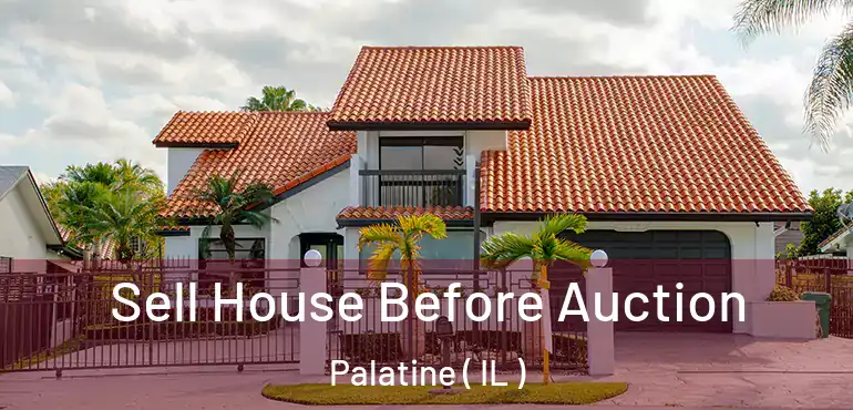  Sell House Before Auction Palatine ( IL )