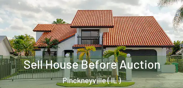  Sell House Before Auction Pinckneyville ( IL )