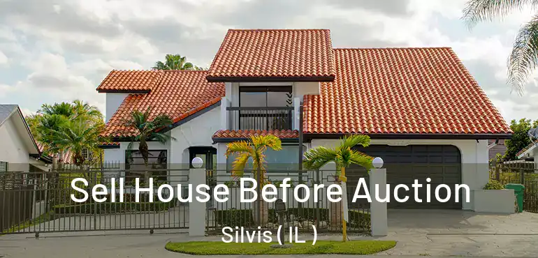  Sell House Before Auction Silvis ( IL )