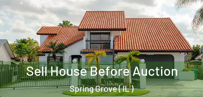  Sell House Before Auction Spring Grove ( IL )