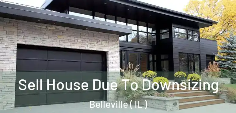  Sell House Due To Downsizing Belleville ( IL )
