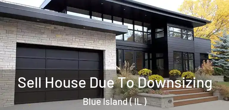  Sell House Due To Downsizing Blue Island ( IL )