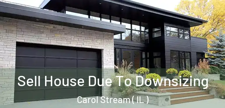  Sell House Due To Downsizing Carol Stream ( IL )