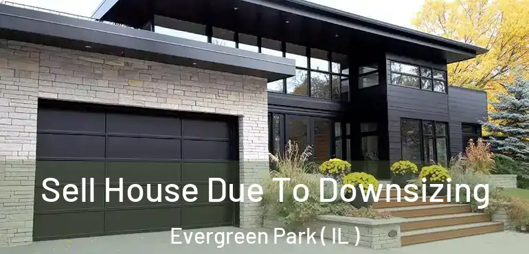  Sell House Due To Downsizing Evergreen Park ( IL )