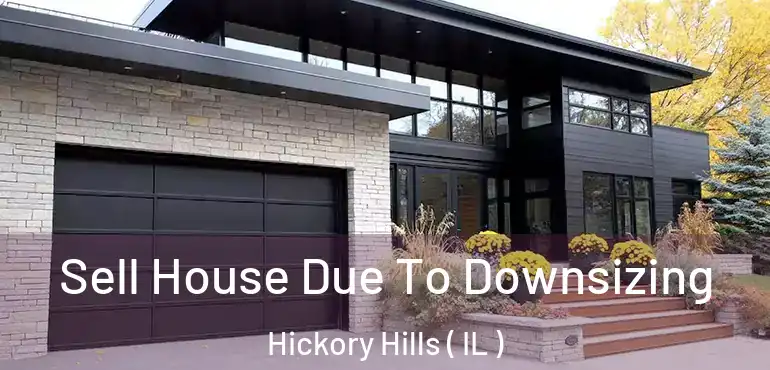  Sell House Due To Downsizing Hickory Hills ( IL )
