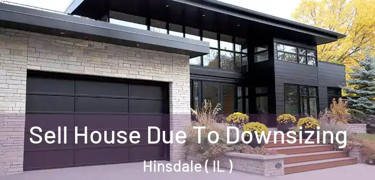 Sell House Due To Downsizing Hinsdale ( IL )