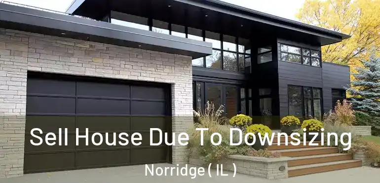  Sell House Due To Downsizing Norridge ( IL )