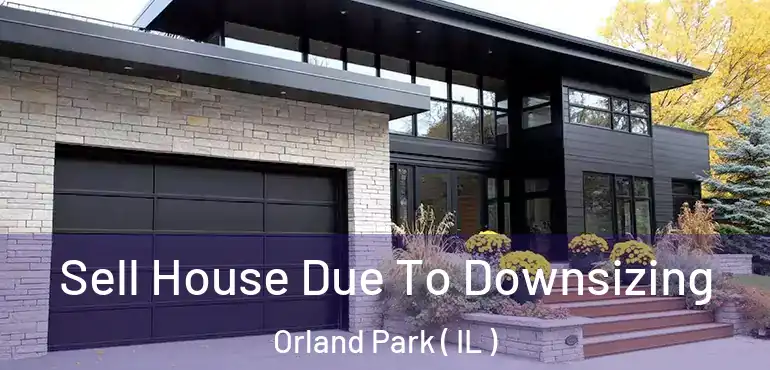  Sell House Due To Downsizing Orland Park ( IL )
