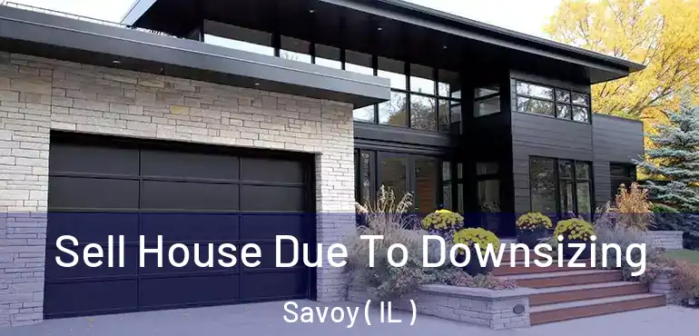  Sell House Due To Downsizing Savoy ( IL )