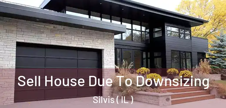  Sell House Due To Downsizing Silvis ( IL )