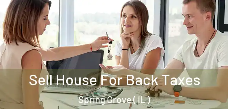  Sell House For Back Taxes Spring Grove ( IL )