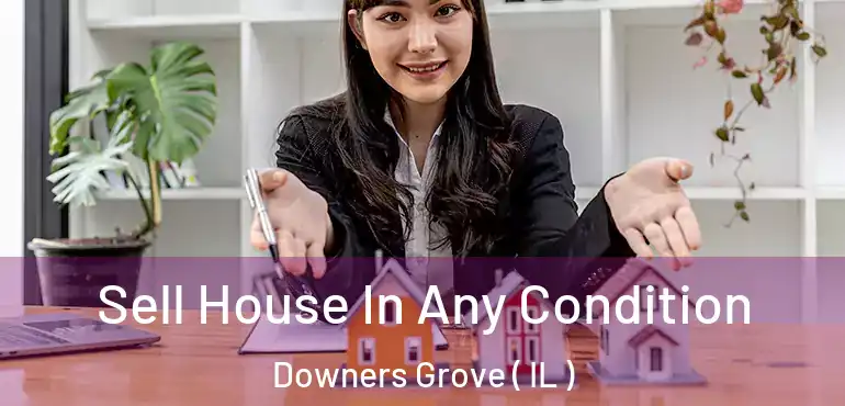  Sell House In Any Condition Downers Grove ( IL )