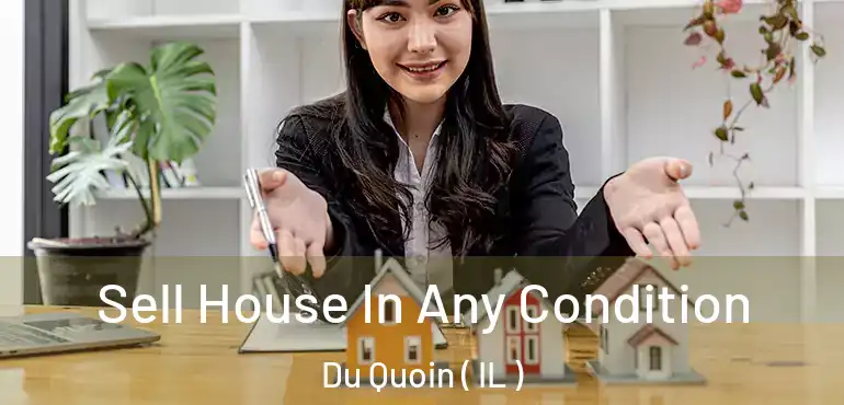  Sell House In Any Condition Du Quoin ( IL )