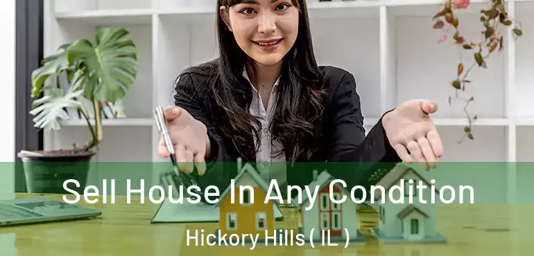  Sell House In Any Condition Hickory Hills ( IL )