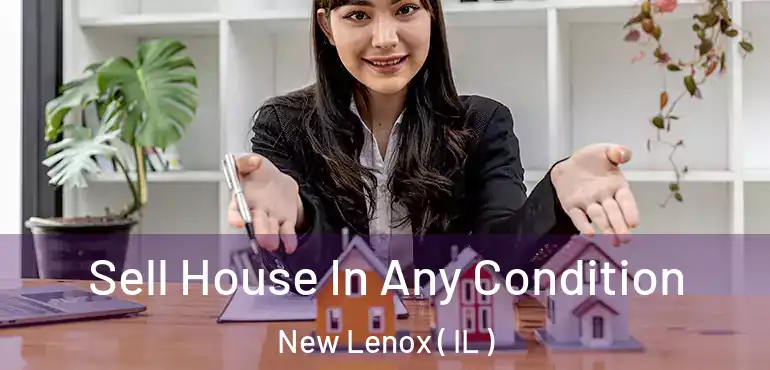  Sell House In Any Condition New Lenox ( IL )