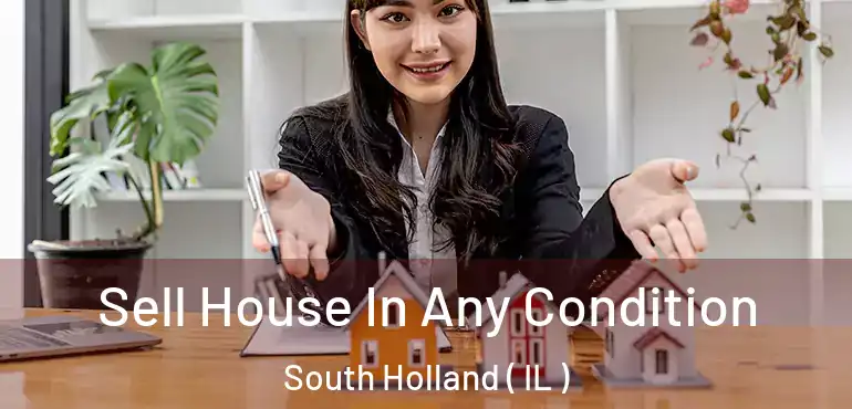  Sell House In Any Condition South Holland ( IL )
