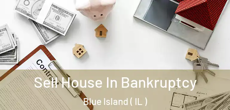  Sell House In Bankruptcy Blue Island ( IL )