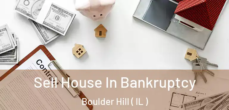  Sell House In Bankruptcy Boulder Hill ( IL )