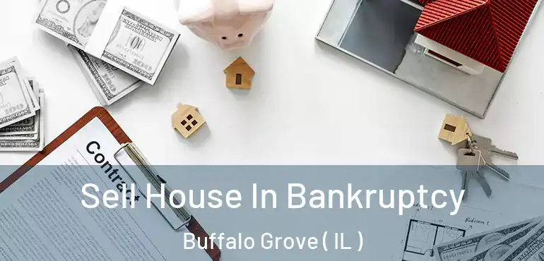  Sell House In Bankruptcy Buffalo Grove ( IL )