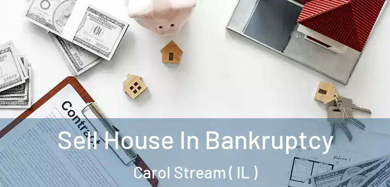  Sell House In Bankruptcy Carol Stream ( IL )