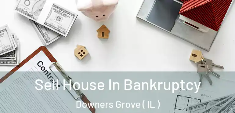  Sell House In Bankruptcy Downers Grove ( IL )